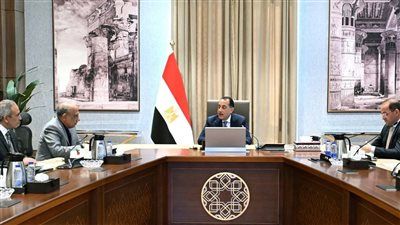 رئيس الوزراء يتابع إجراءات توفير التمويل المطلوب لمشروعات الطاقة الجديدة والمتجددة - الخليج الان