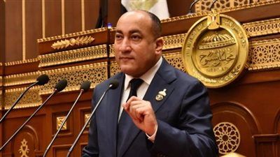 عمرو رشاد يطالب بملاحقة مروجي الدعارة إلكترونيًا وتفعيل نصوص القانون الرادعة - الخليج الان