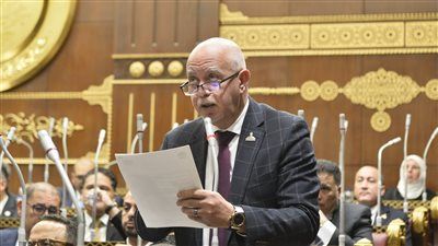 النائب حازم الجندى: توجيهات الرئيس السيسي لتدعيم الشبكة القومية للكهرباء ترسم مستقبلًا جديدًا للطاقة في مصر - الخليج الان