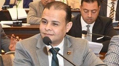 مدحت الكمار: ثورة 30 يونيو أنقذت مصر من مصير مظلم.. والرئيس السيسي قاد مسيرة البناء نحو الجمهورية الجديدة - الخليج الان