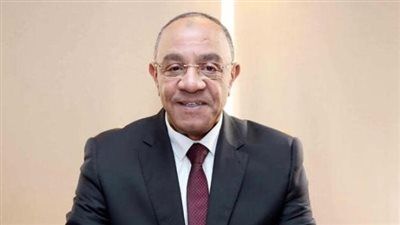 النائب عادل ناصر: لقاء السيسي وترامب يعكس نجاح الدبلوماسية المصرية ويؤكد ريادة القاهرة في ملفات المنطقة - الخليج الان