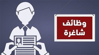 وزارة العمل تعلن وظائف جديدة بمدينة 6 أكتوبر برواتب تصل إلى 11 ألف جنيه - الخليج الان