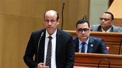 لمدة عام أو عامين.. النائب سمير البيومي بطالب بإعادة الموازنة إلى الحكومة وتأجيل المشروعات غير ذات الأهمية - الخليج الان