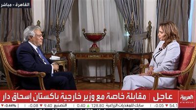 وزير خارجية باكستان: مصر والسعودية وقطر والإمارات دعمت جهود الوساطة بين أمريكا وإيران - الخليج الان