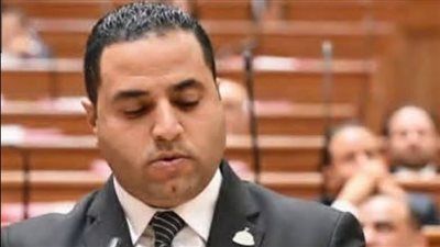 مليار جنيه رقم لا يمكن قبوله.. برلماني يطالب بزيادة مخصصات دعم الفلاح في الموازنة الجديدة - الخليج الان
