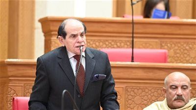 النائب صلاح فوزي: خطة 2026/2027 تتجه نحو موازنة الأداء وإدارة المخاطر.. وندعو لزيادة مخصصات العلاج على نفقة الدولة - الخليج الان