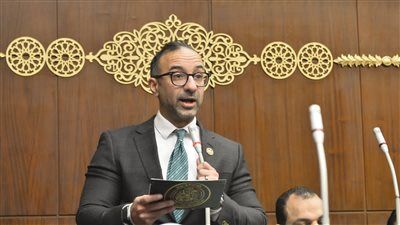 ضمن إنجازات مجلس الشيوخ.. مقترح الحمامصي لتصدير العقار يتحول إلى توصيات رسمية - الخليج الان