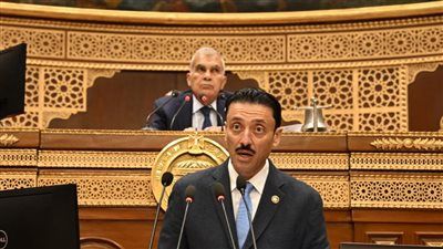 النائب محمد رزق: 3.74 مليون شركة تواجه تحديات تستوجب تدخلا حكوميا عاجلا - الخليج الان