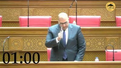 النائب أحمد الشناوي: المنحة الاستشارية الأوروبية تعكس الثقة الدولية في قدرات الدولة المصرية - الخليج الان