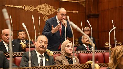 النائب عمرو رشاد يقترح منح الأراضي الصناعية للمستثمرين بأسعار عادلة وربطها بالإنتاج الفعلي - الخليج الان