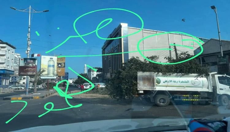 صندوق النظافة وتحسين المدينة عدن يعقب على ما نشره الصحفي فتحي بن لزرق بشأن قص أشجار شارع أروى بكريتر