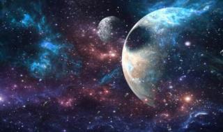 تجربة علمية على الحبار في الفضاء