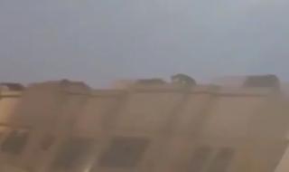 أسد مفترس يتسلق منزل في الرياض.. وزئيره يغلق حي الرمال ويحوله لشارع أشباح (فيديو)