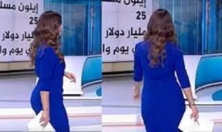 شوف دلوقتي ظهور انثوي صارخ لأجمل مذيعة جديدة في قناة الجزيرة .. والجمهور أجمل من علا الفارس بكثير ! (صورة)