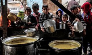 الأمم المتحدة: نصف سكان غزة يواجهون انعدامًا شديدًا في الأمن الغذائي