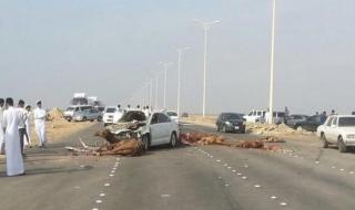 حادث مروع بالمدينة المنورة..."المرور السعودي" وفاة شخص وإصابة آخرين إثر حادث - موقع الخليج الان