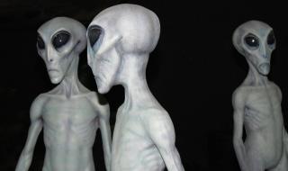 "مجزرة الكائنات الفضائية".. نظرية صادمة عن اللغز المحير