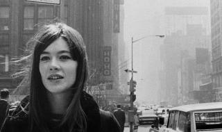 صنفت الأفضل بين 200 مغنية.. رحيل النجمة الفرنسية فرانسواز هاردي