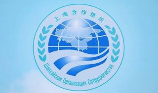 منظمة شنغهاي للتعاون تكتسب أهمية متزايدة في العلاقات الدولية