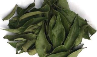 شاهد .. "زهرة سحرية تحارب داء السكري بفعالية... اكتشاف جديد يثير الأمل"