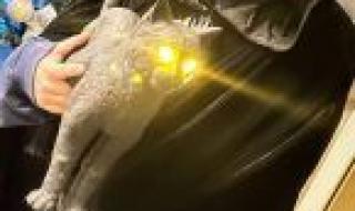 صورة جديدة لابنة وائل كفوري وأنجيلا بشارة… هكذا احتفلت بعيد البربارة