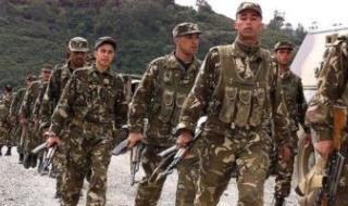 تجنيد وفق التشريعات.. قانون الخدمة العسكرية 2025 الجزائر تفاصيل دقيقة