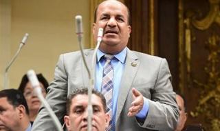 اقتصادية النواب تثمن جهود "المالية" للترويج لجذب الاستثمارات الأجنبية لمصر - الخليج الان