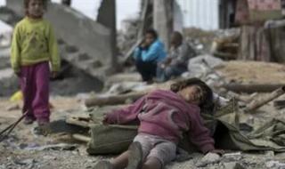 مدير المنظمات الأهلية الفلسطينية: هناك أكثر من 70 ألف طفل فى قطاع غزة - الخليج الان