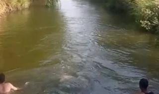 مصرع طفلين غرقا أثناء السباحة في بحر ابو المير في الفيوم - الخليج الان