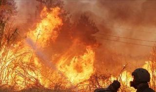 حرائق تلتهم غابات اليونان: موجة حر ثالثة تضع أثينا والجزر في حالة استنفار قصوى - الخليج الان