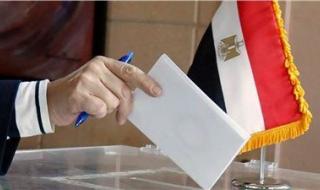 انطلاق تصويت المصريين بالخارج في انتخابات مجلس الشيوخ 2025 وفتح اللجان في نيوزيلندا - الخليج الان