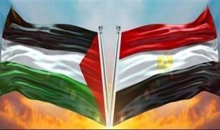 بعد موافقة حماس إلى المقترح.. نائب المصري الديمقراطي: مصر تكسر منفردة مخطط إسرائيل لتصفية القضية الفلسطينية.. وأشكك في تجاوب تل أبيب مع الهدنة - الخليج الان