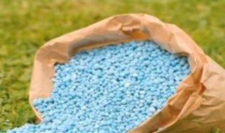 وزارة الزراعة تؤكد توفير 900 ألف طن أسمدة تغطي 80% من احتياجات الموسم الصيفي - الخليج الان