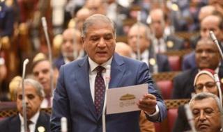 عفت السادات لتحيا مصر: دعم السياسة الخارجية والملف الاقتصادي وفرض السلام في المنطقة على رأس أولوياتي بلجنة العلاقات الخارجية بالشيوخ - الخليج الان