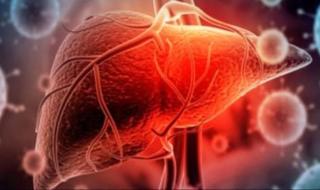 عادات صباحية للحفاظ على صحة الكبد