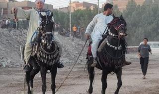 صور| ليلة من سحر التراث.. أغانٍ وألعاب شعبية تزين مهرجان قنا للفنون - الخليج الان