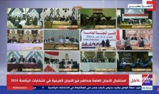 اللجنة العامة بالتجمع الخامس تعلن نتائج الحصر العددي لأصوات الناخبين - الخليج الان