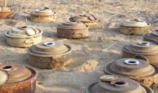 مسام .. ينزع (699) لغمًا من الأراضي اليمنية خلال أسبوع