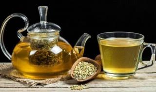 فوائد شرب ماء الشمر يوميًا.. تعرف عليها