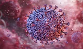 علماء يتوصلون إلى اكتشاف مثير حول فيروسات تصيب 90% من الأطفال