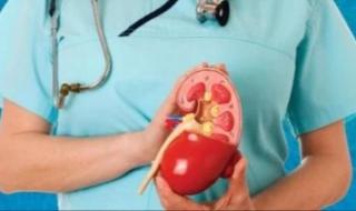 علامات فى الشتاء بتقولك إن كليتك بحاجة للماء