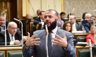 النائب أحمد خليل خير الله رئيسا للهيئة البرلمانية لحزب النور بمجلس النواب - الخليج الان