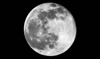 حجوزات لمشروع فندقي مستقبلي على سطح القمر، وهو قيد الإنشاء.