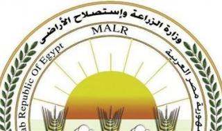 «الزراعة» تنشر ملخص جهود وأنشطة معاهد ومعامل مركز البحوث الزراعية خلال الأسبوع الرابع من يناير - الخليج الان