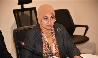 النائبة ثريا البدوي تكشف تفاصيل لقاء رؤساء اللجان النوعية مع رئيس البرلمان - الخليج الان