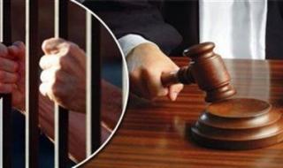 براءة عامل في الإسكندرية من تهمة قيادة سيارة برخصة مزورة - الخليج الان