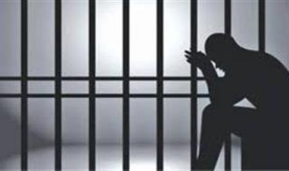 “بلطجة بالقناطر”.. إطلاق نار وتحطيم كاميرات وضبط متهم بسلاح ناري - الخليج الان