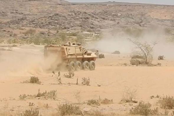 الجيش الوطني يكبد المليشيات الحوثية خسائر كبيرة في جبهة الخنجر