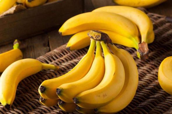 ستأكلها يومياً بعد الآن .. 10 معلومات مذهلة عن الموز .. هذا ما سيحدث لجسمك عند أكل موزة واحدة كل يوم !