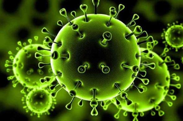 عاجل: وزارة الصحة الكويتية تدق ناقوس الخطر .. هذا النوع من الفيروسات سيغزو العالم ! (تفاصيل خطيرة)